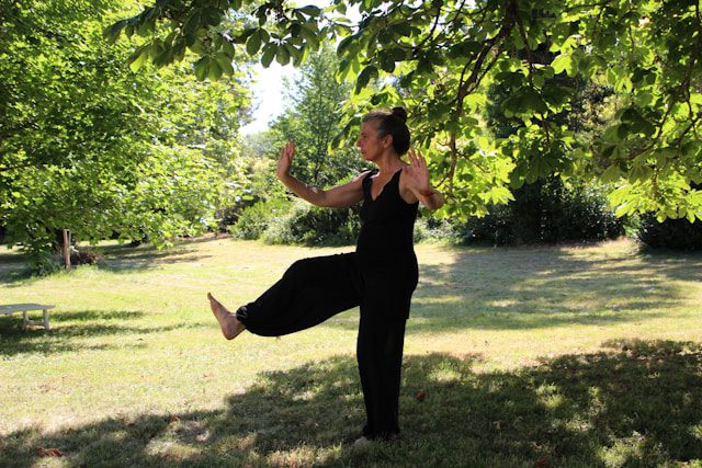 Tai Chi Balance practice